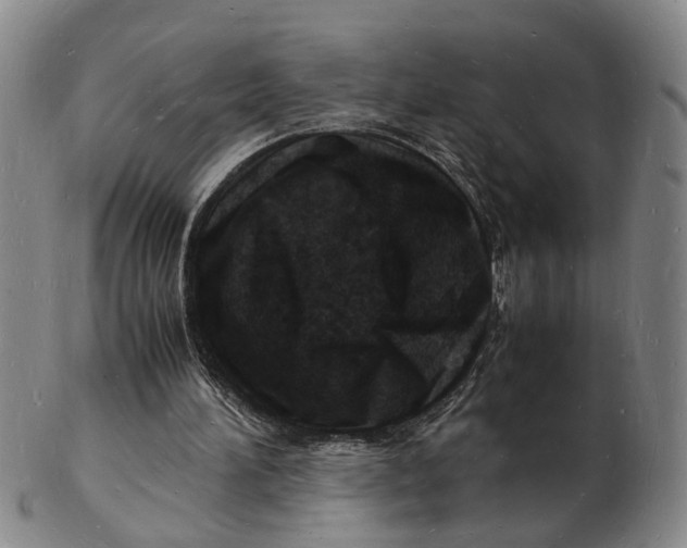 X0000102780196200809081035