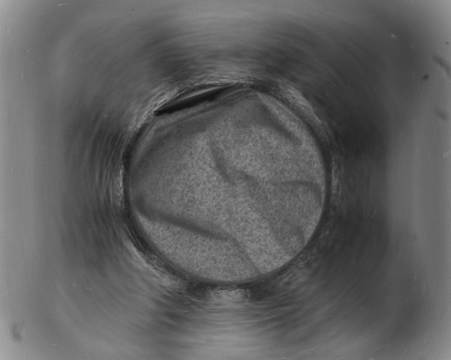 X0000102780202200809081035