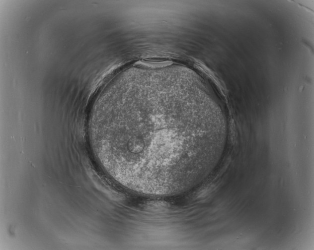 X0000102780203200809081035