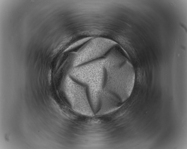 X0000102780206200809081035