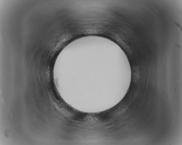 X0000102780207200809081035