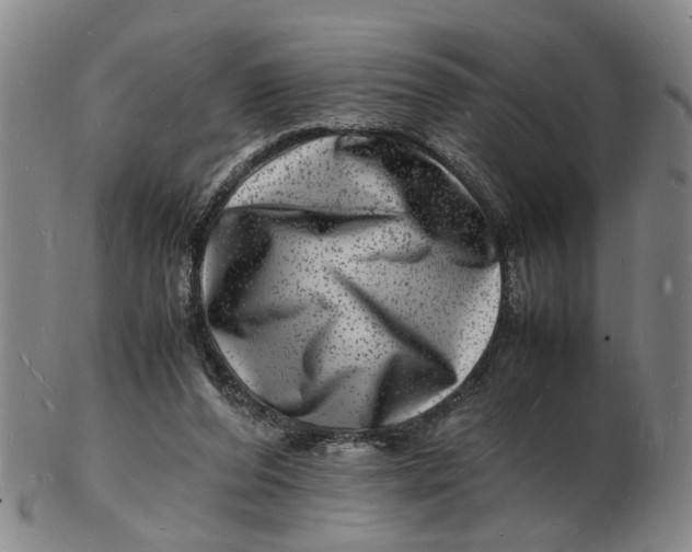 X0000102780208200809081035