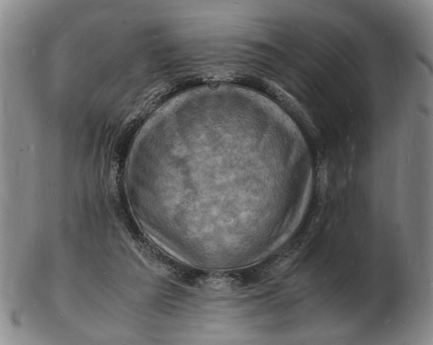 X0000102780209200809081035