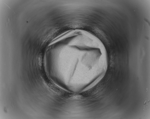 X0000102780210200809081035