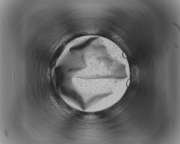 X0000102780212200809081035