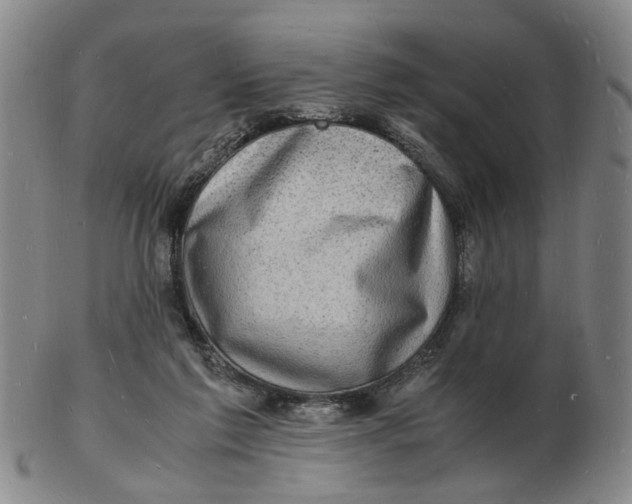 X0000102780213200809081035