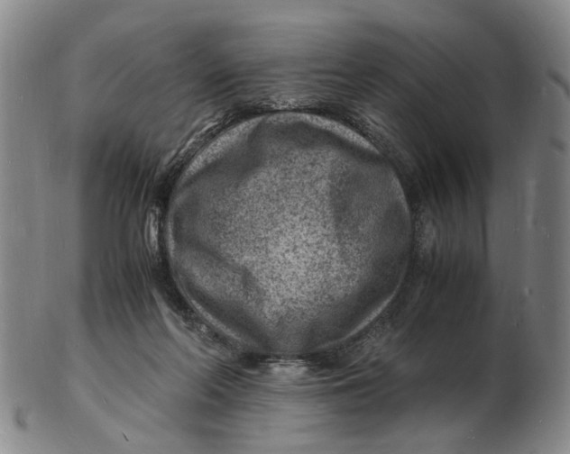 X0000102780214200809081035