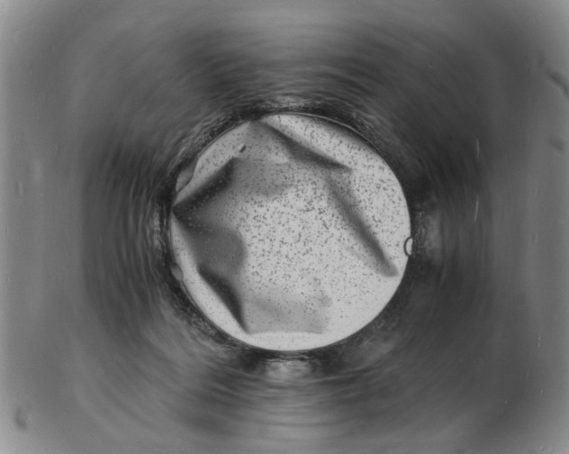 X0000102780220200809081034