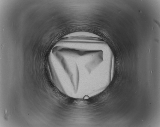 X0000102780221200809081034