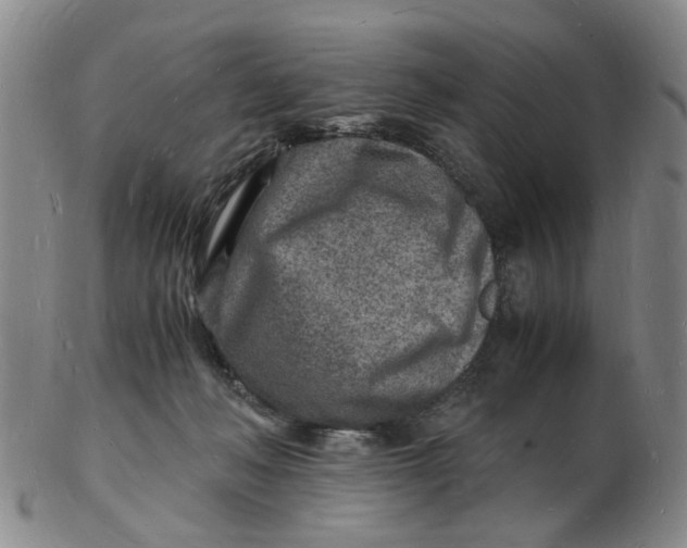 X0000102780222200809081034