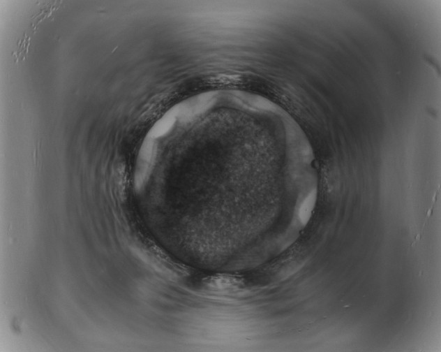 X0000102780223200809081034