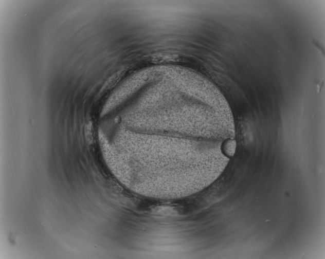 X0000102780224200809081034