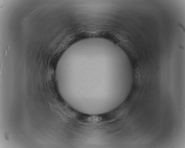 X0000102780225200809081034