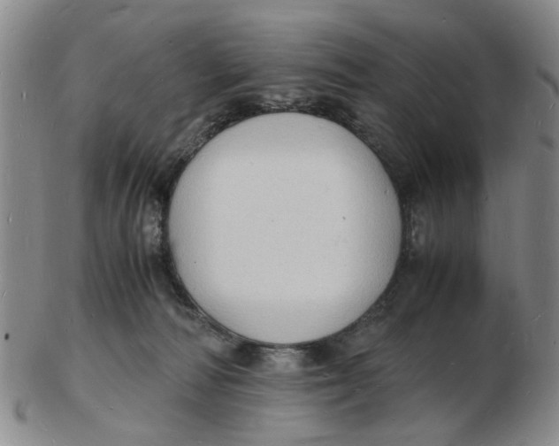 X0000102780226200809081034