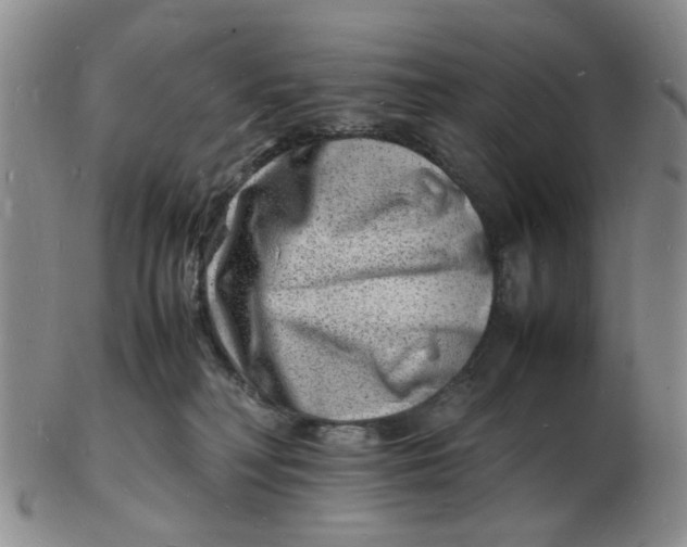 X0000102780230200809081034