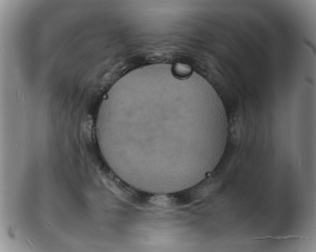 X0000102780231200809081034