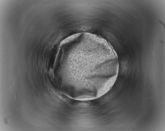 X0000102780236200809081034