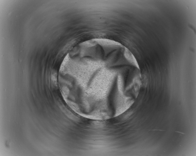 X0000102780238200809081034