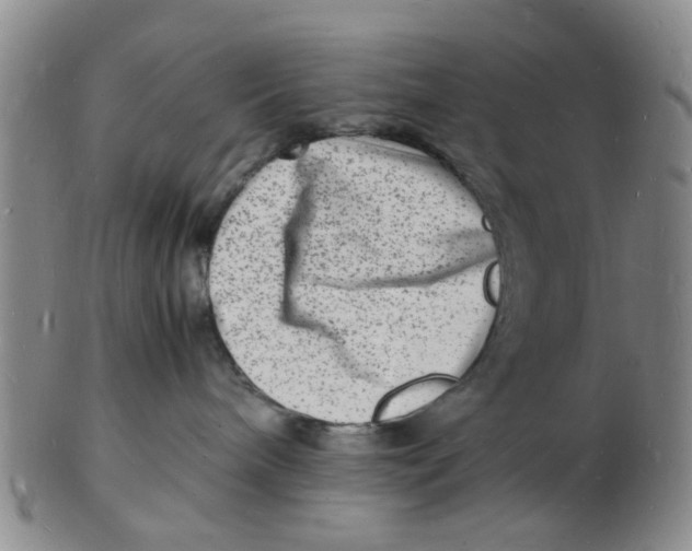 X0000102780240200809081034