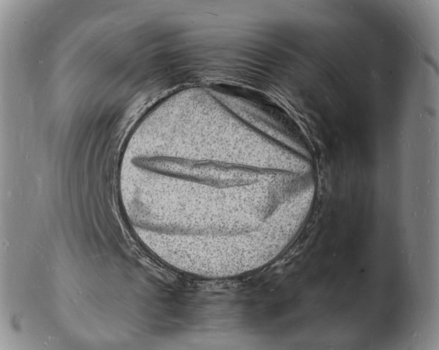 X0000102780241200809081033