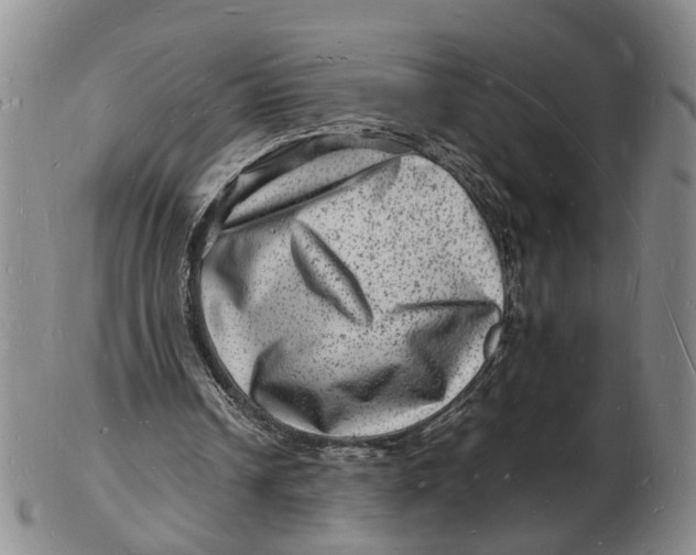 X0000102780242200809081033