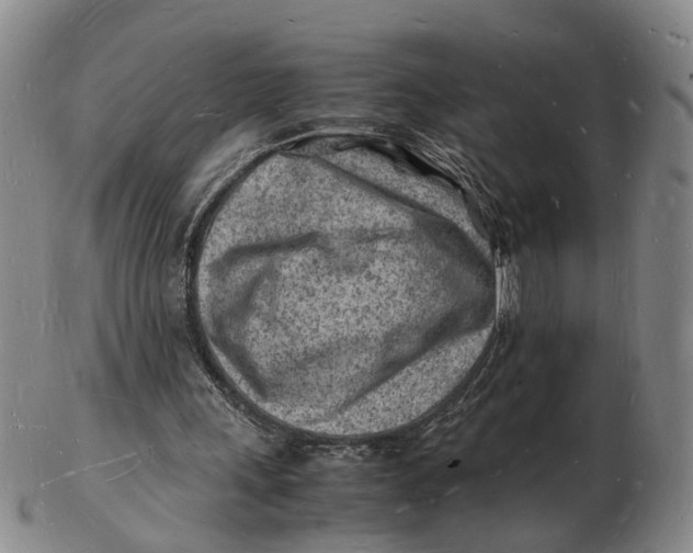 X0000102780243200809081033