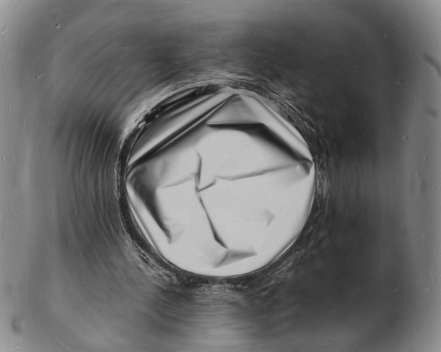 X0000102780244200809081033