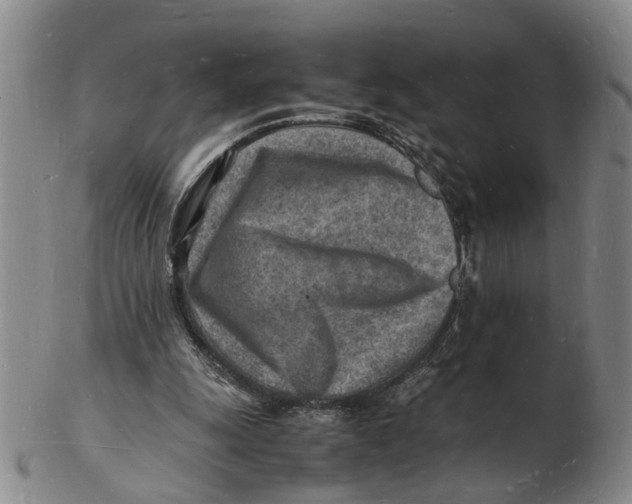 X0000102780247200809081033