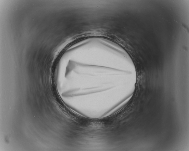 X0000102780248200809081033