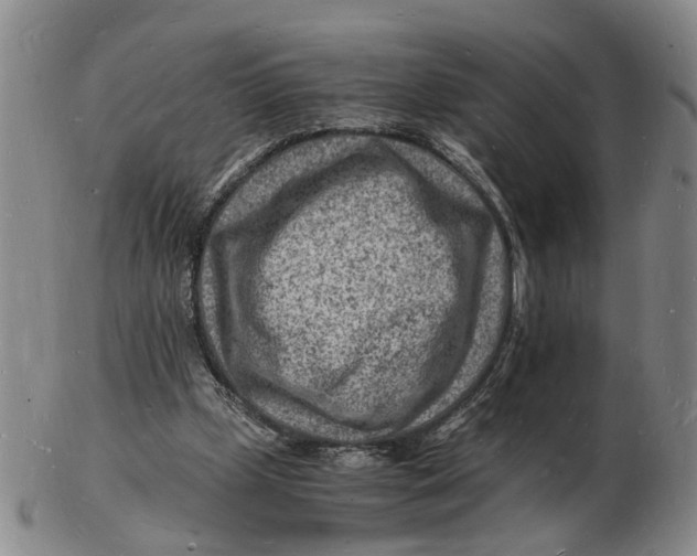 X0000102780249200809081033