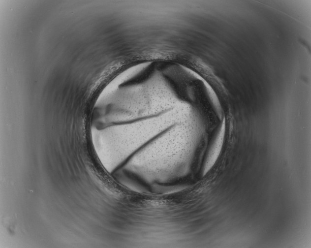 X0000102780250200809081033