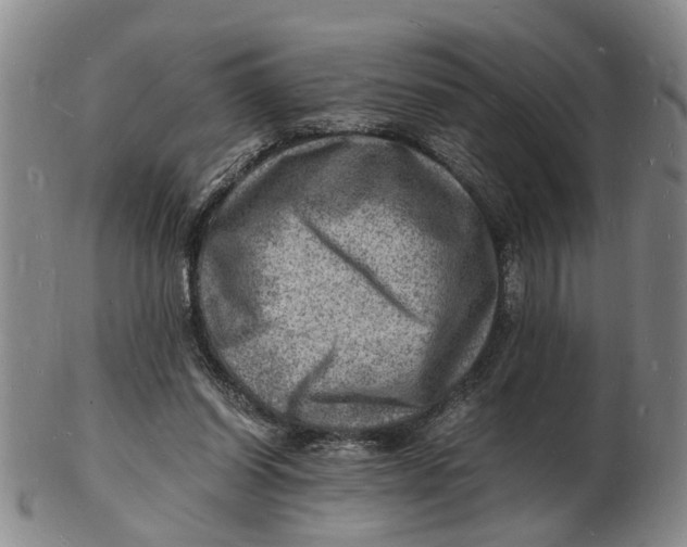 X0000102780254200809081034