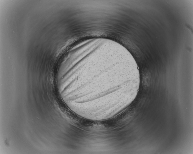 X0000102780256200809081034