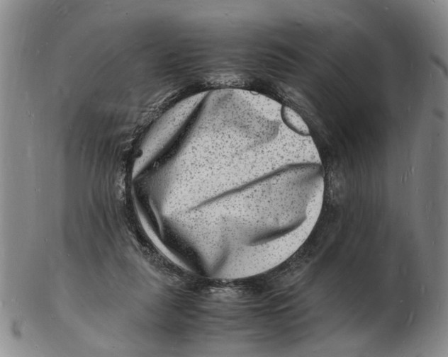 X0000102780259200809081034