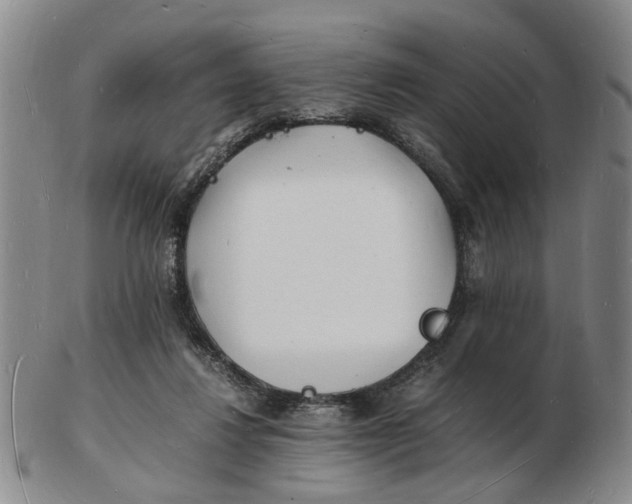 X0000102780260200809081034