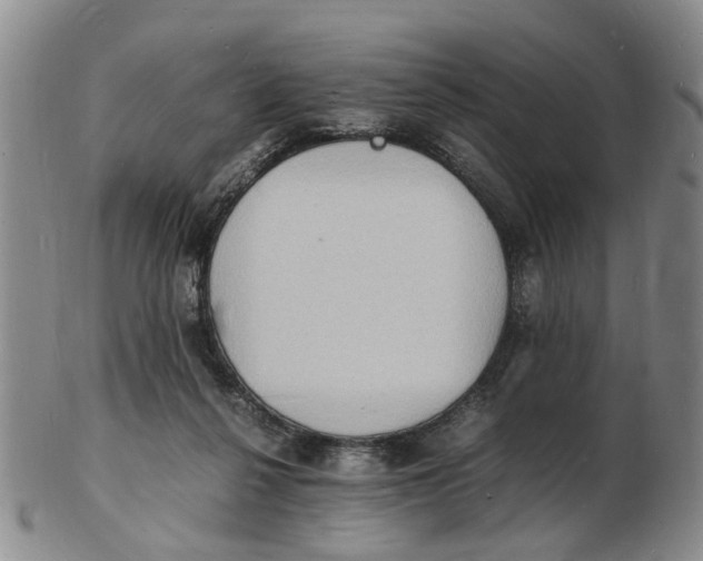 X0000102780264200809081034