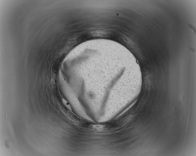 X0000102780265200809081034