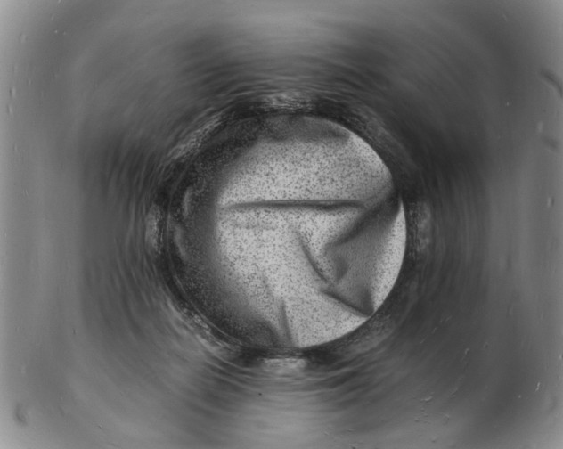 X0000102780266200809081034