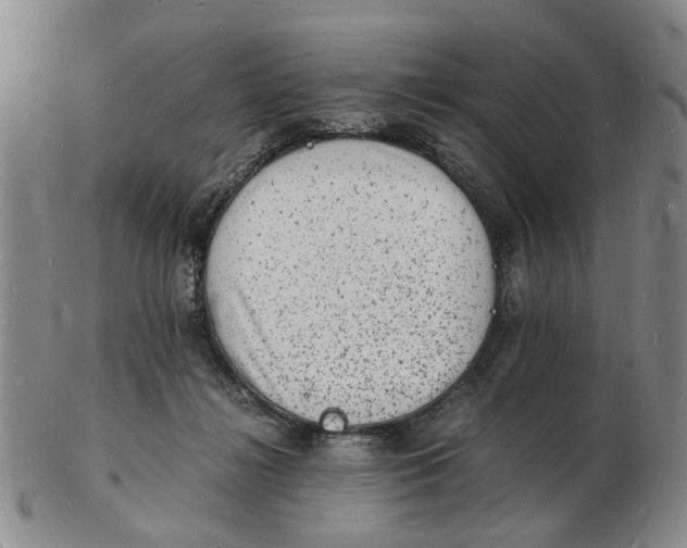 X0000102780268200809081034