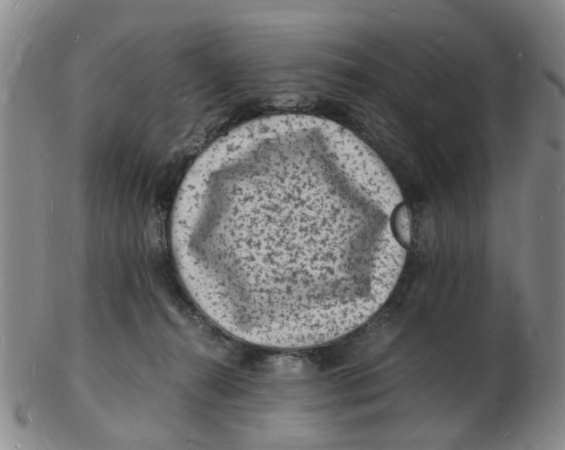 X0000102780272200809081034