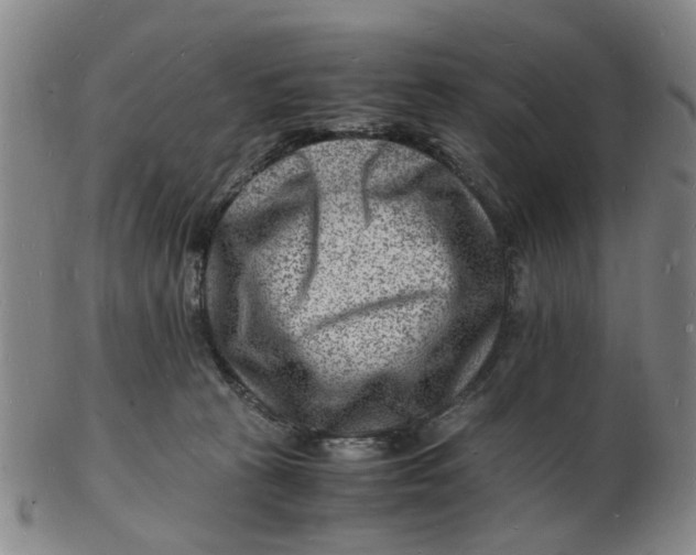 X0000102780273200809081034