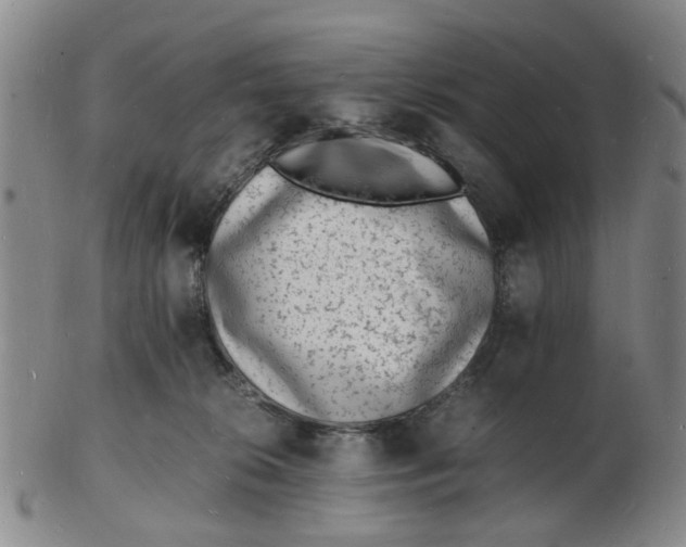 X0000102780276200809081034