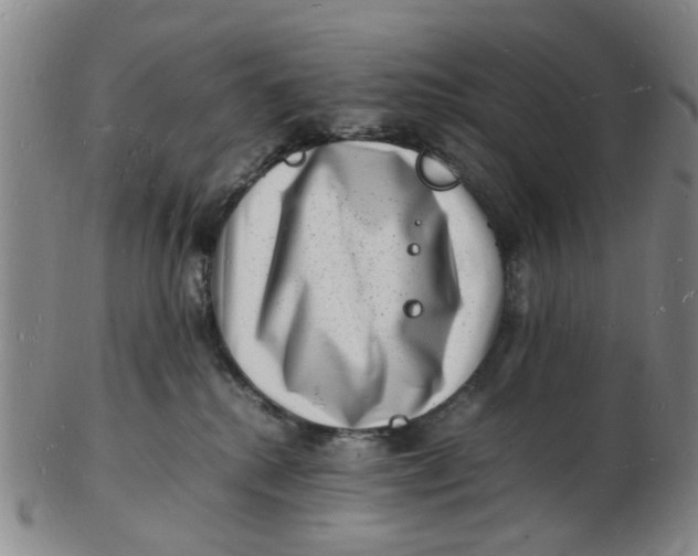 X0000102780280200809081034