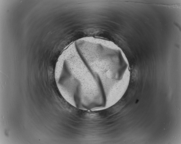 X0000102780283200809081034