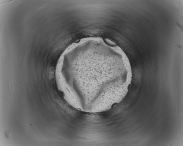 X0000102780284200809081034