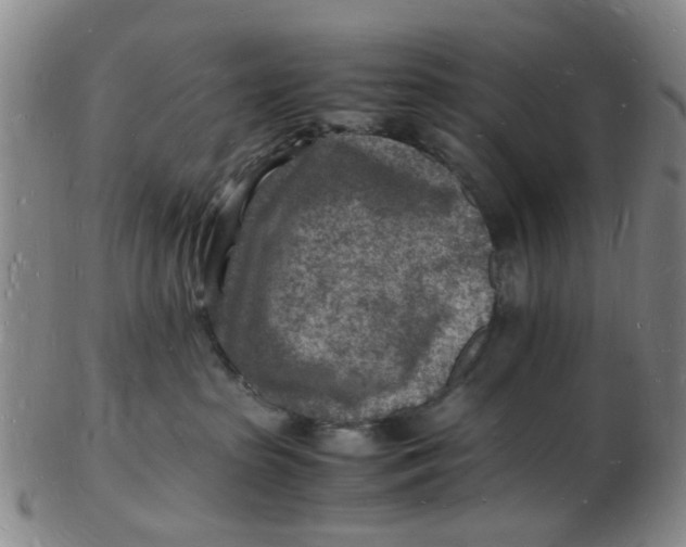 X0000102780285200809081034