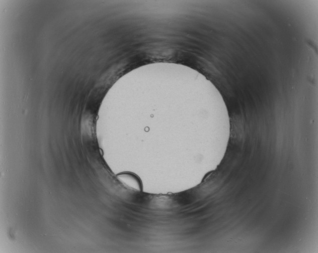 X0000102780287200809081034