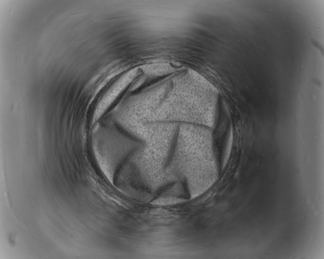 X0000102780290200809081033