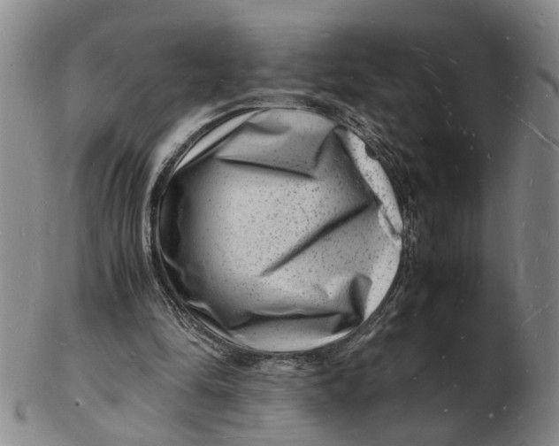 X0000102780294200809081033