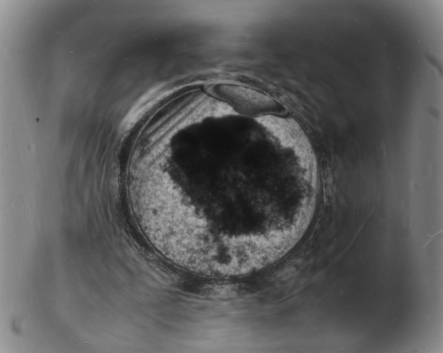 X0000102780295200809081033